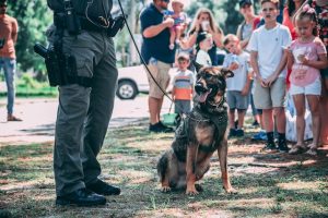 Do Police Dogs Get Paid? Yes! (Here’s How)