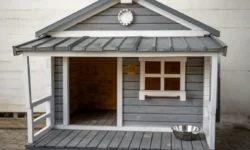 15 Clever Ways to Upgrade Your Dog Kennel With Verandah