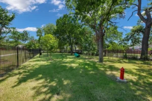 11 Dog Park Design Features That Will Make Tails Wag!