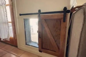 7 Smart Dog Door Ideas in Wall That Make Life Easier!