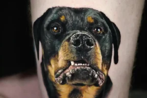 23 Stunning Rottweiler Tattoo Ideas You’ll Definitely Love