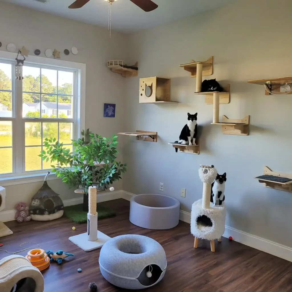 15 cat room ideas 1 cat room ideas