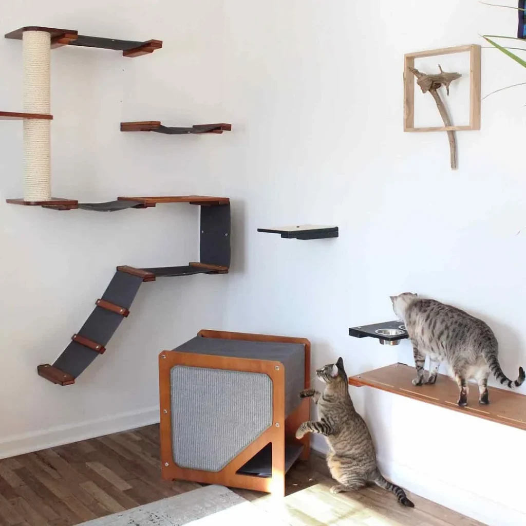 15 cat room ideas 13 cat room ideas 11