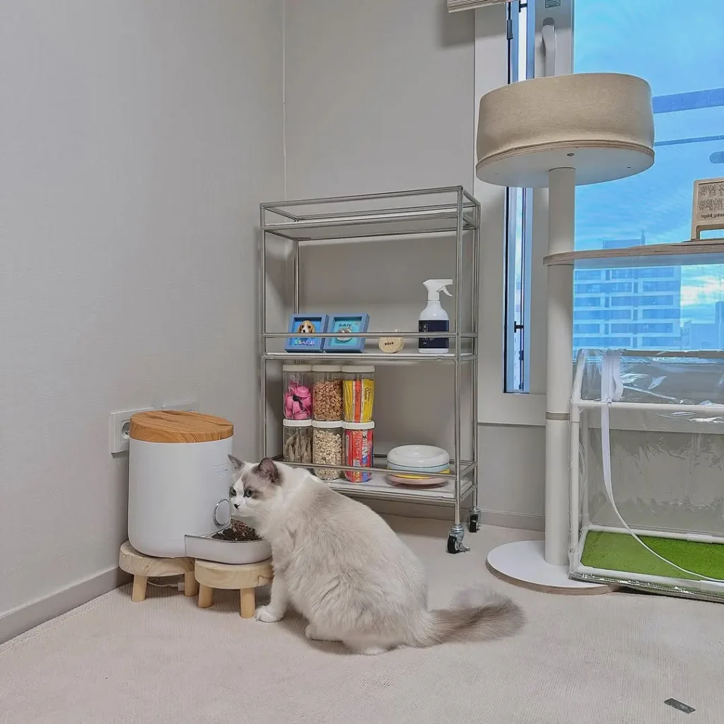 15 cat room ideas 5 cat room ideas 4