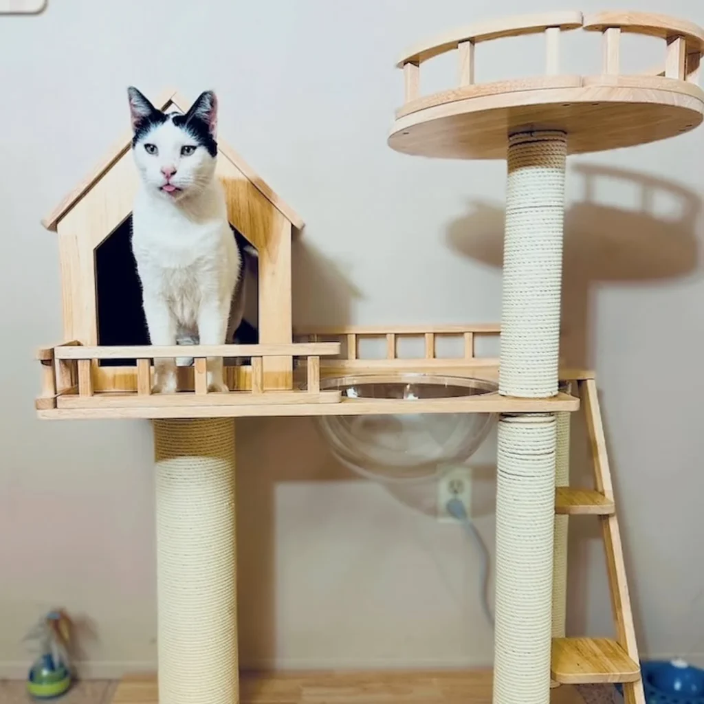 15 cat room ideas 6 cat room ideas 5