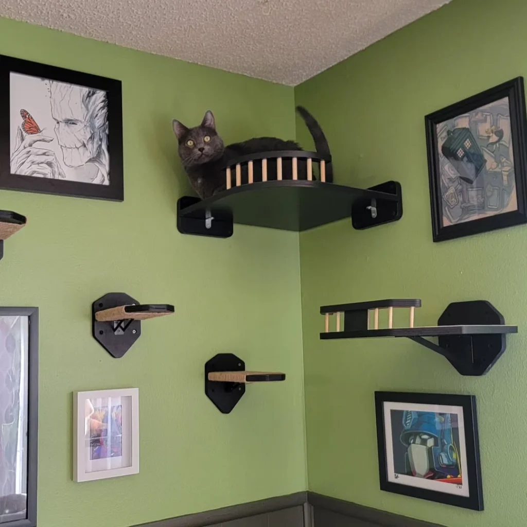 15 cat room ideas 8 cat room ideas 7