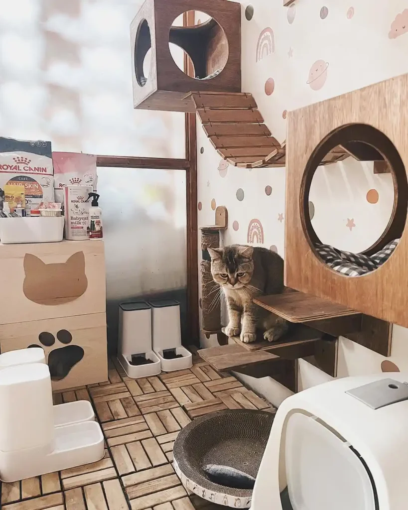 15 cat room ideas 10 cat room ideas 9