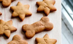 Gingerbread Cookies for Dogs