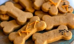 Easy Homemade Sugar-Free Dog Cookies (Vet-Safe and Kid-Friendly)