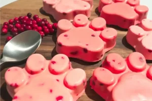 Simple Healthy Frozen Cranberry Dog Treats
