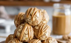 Puppy Protein Balls Recipe