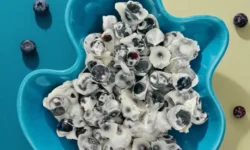 Puppy Blueberry Yogurt Bites
