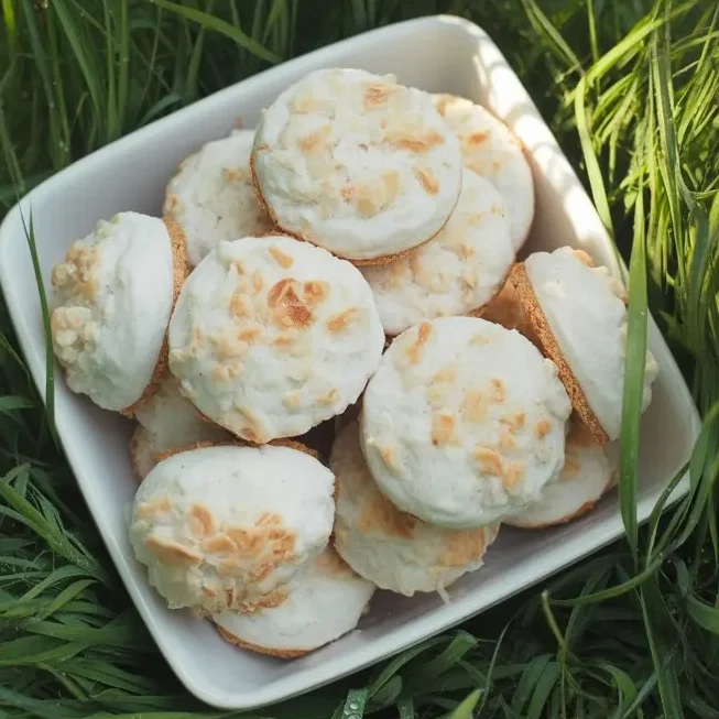 Cheesy Chicken & Rice Dog Treat Recipe