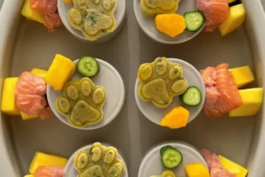 Salmon, Mango & Cucumber Homemade Dog Food Topper