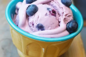 Blueberry Peanut Butter Dog Ice Cream