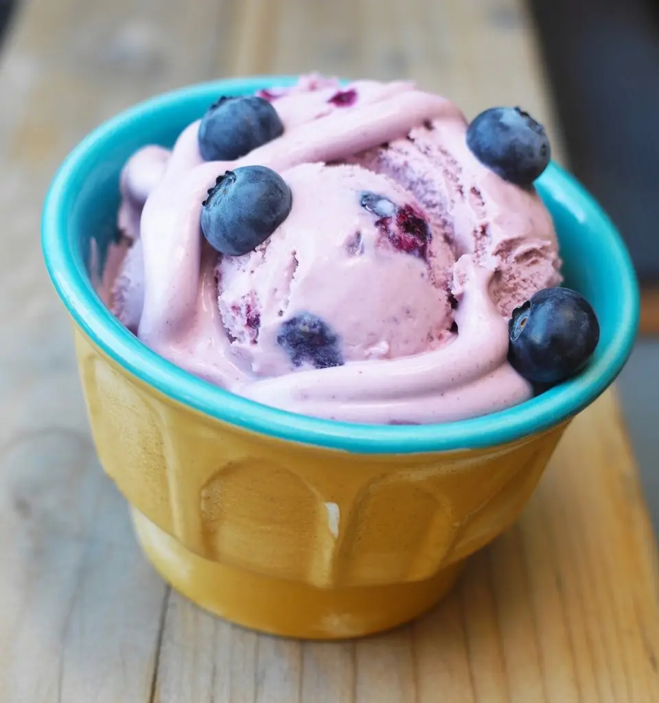 Blueberry Peanut Butter Dog Ice Cream 1 a photograph of a single serving of